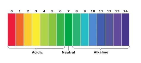 amatr prok|Guide on How to Use Proteinase K in Different Procedures